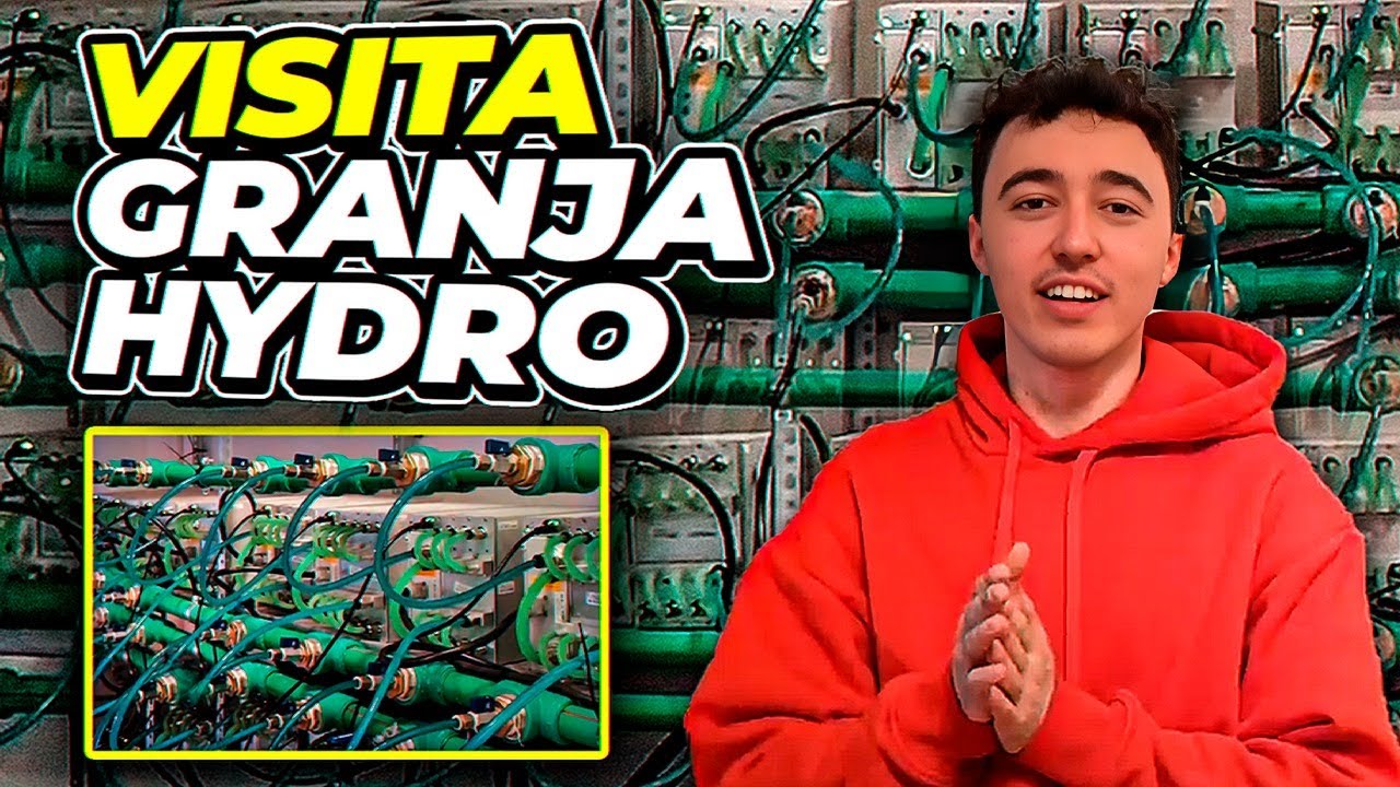 Visitando Una Granja de Miner&iacute;a de Bitcoin Hydro (12.000$ al mes💸)