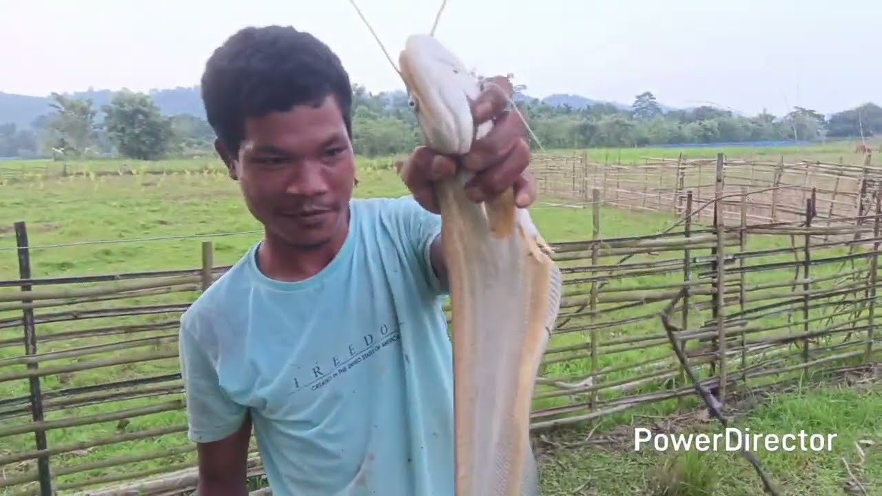 Natok dalako manna fishing 🎣 blog da.lde  mmarak tv