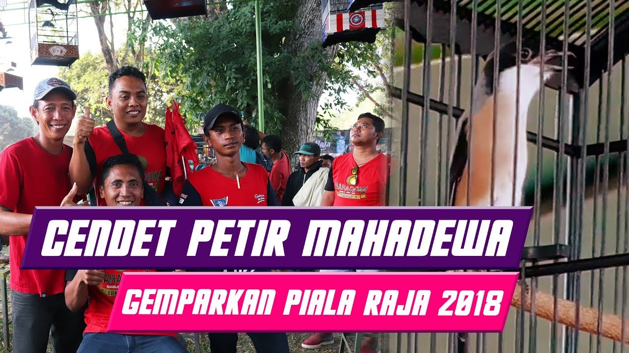 Cendet PETIR MAHADEWA GETARKAN Piala Raja 2018
