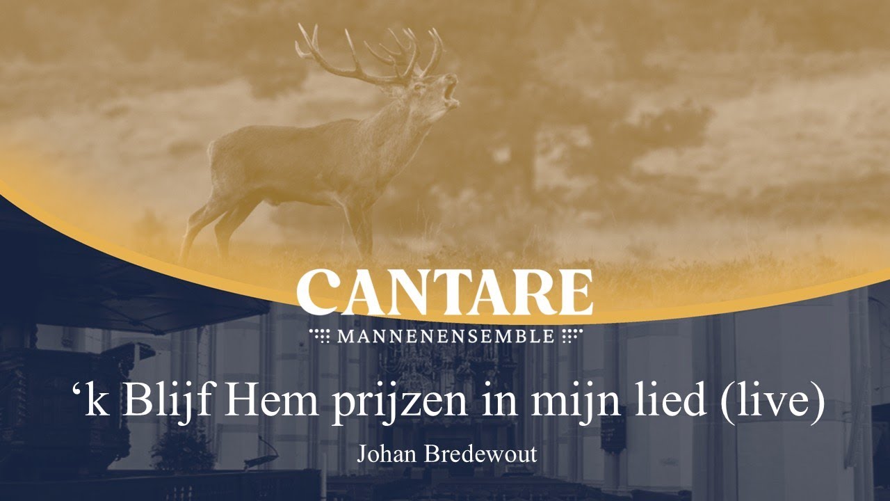'k Blijf Hem prijzen in mijn lied (Johan Bredewout) | Mannenensemble Cantare o.l.v. André van Vliet