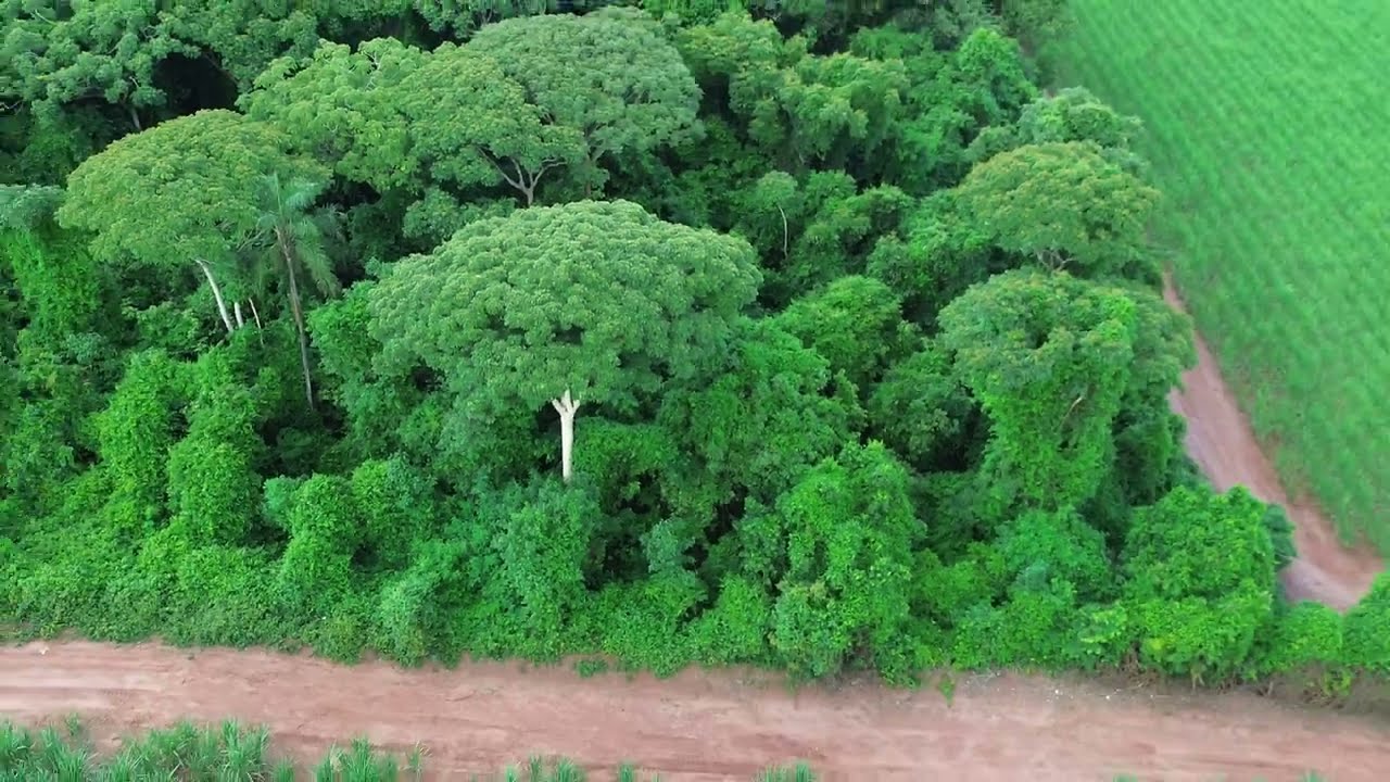 mais um voo de drone com o tempo de chuva