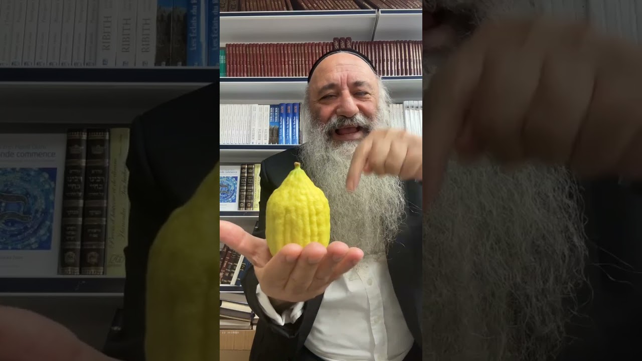 Etrog le Cédrat symbolise le cœur ♥️ sur la main et la main sur le cœur ♥️ | Souccot