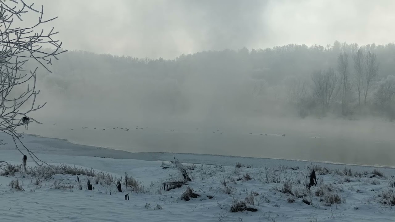 НОВИНИ З ДНІСТРА...-15мороз...ТИХО...