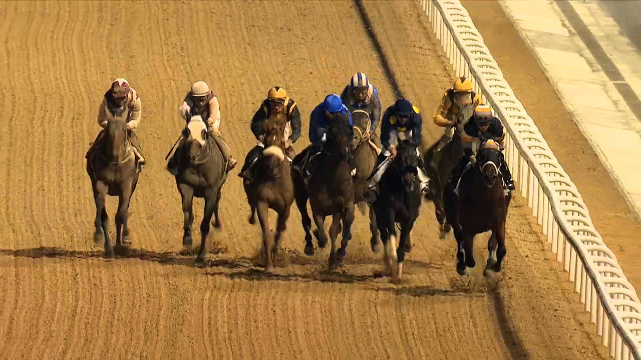 DWCC Meydan Racecourse 21-1-16, Race 1 District One Villas Handicap