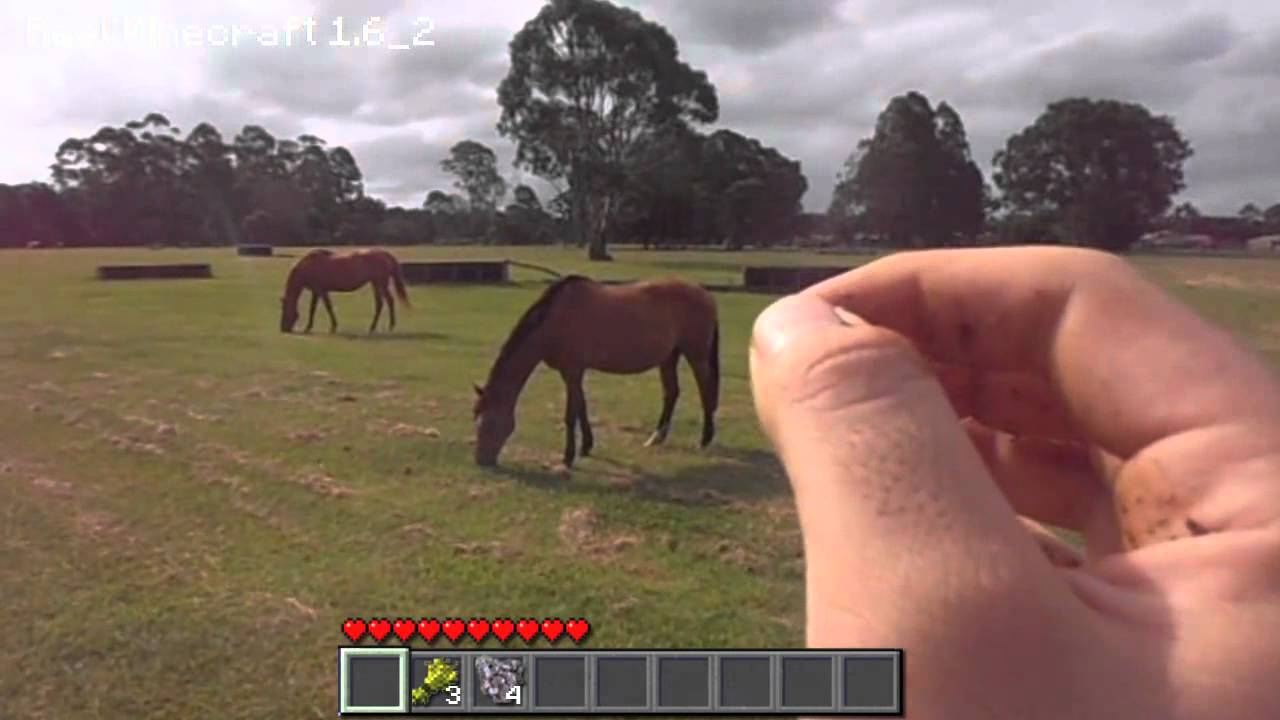 Real Life Minecraft - HORSE PADDOCK & POOP (Realistic Minecraft)