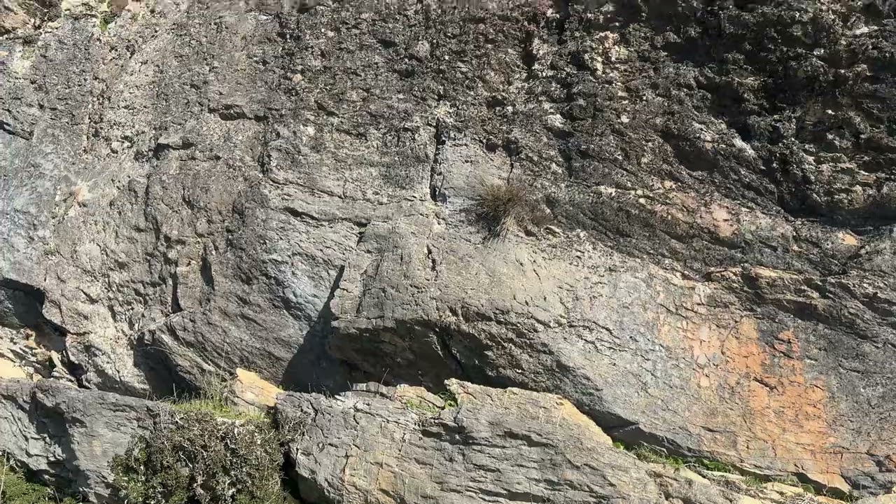 Parque Nacional Sierra de las Nieves 
