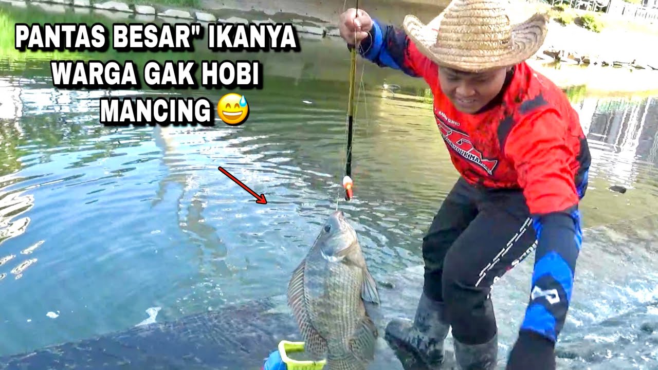 Plung nyut..! Bikin jiwa pemancing meronta kalau jumpa spot ini