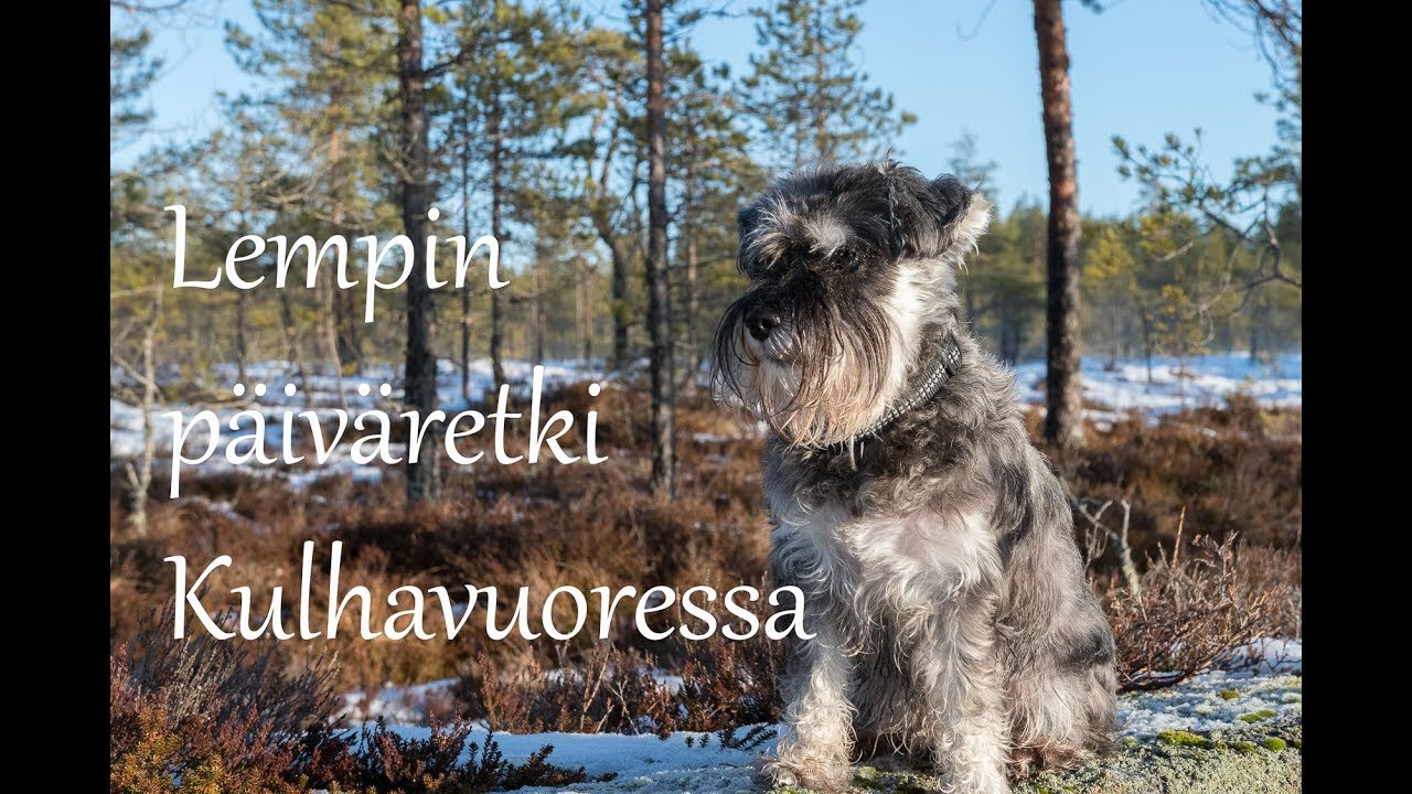 Kulhavuori