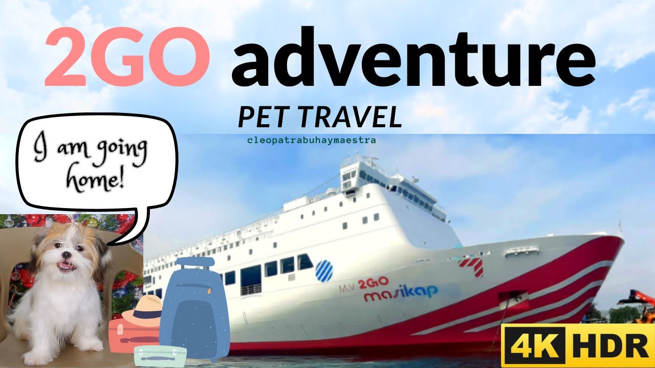 FIRST TIME on 2GO Travel!  Manila to Davao with our Dog Bella