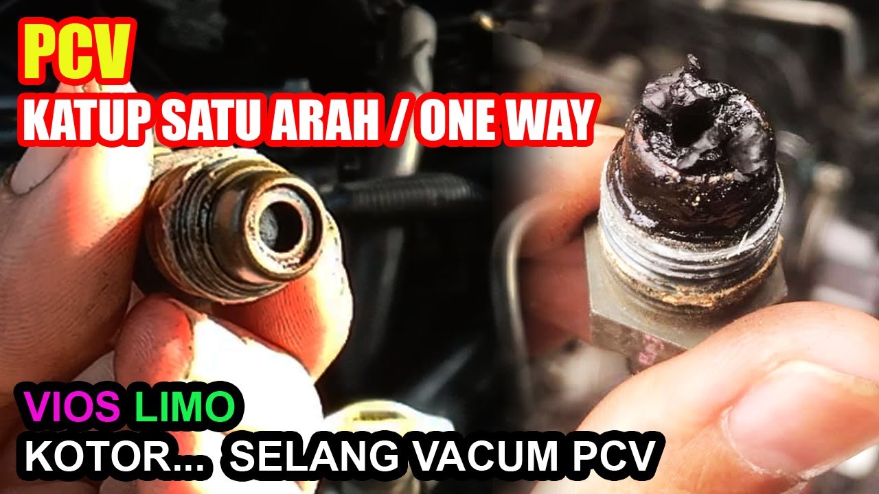 PCV (KATUP SEARAH) || Dibersihkan... Jangan Nunggu Kotor & Berkerak || Toyota Vios Limo