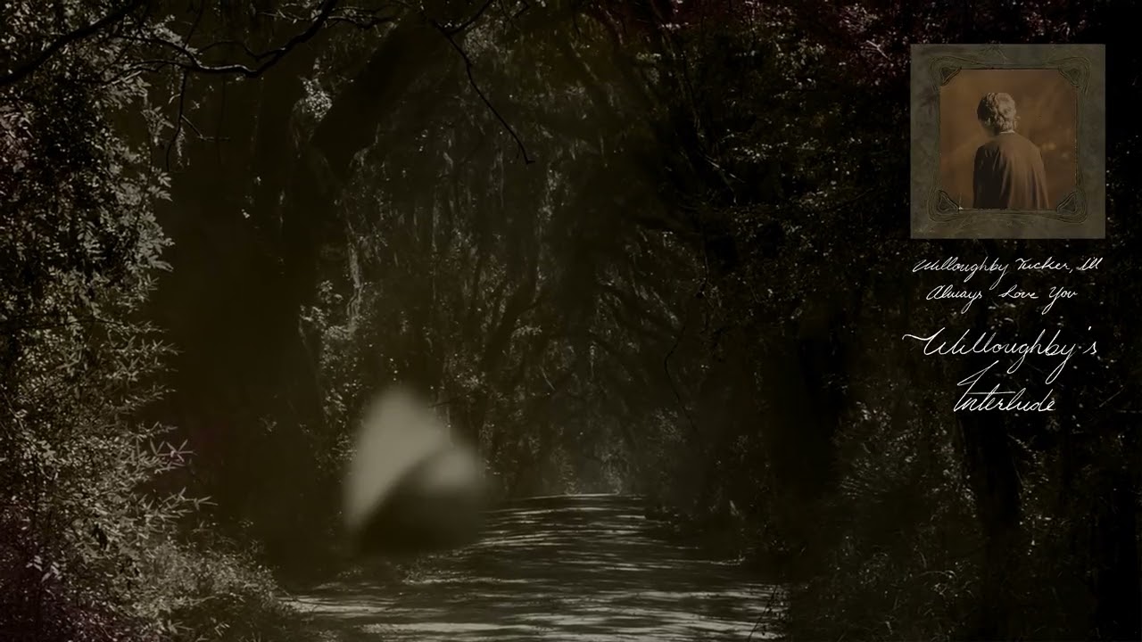 Ethel Cain - Willoughby's Interlude (Official Visualizer)