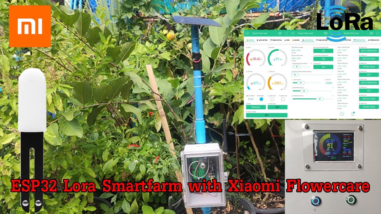วิธีการทำและโค๊ดเครื่องรดน้ำต้นไม้อัตโนมัติ IOT esp32 lora smartfarm with xiaomi flower care & blynk