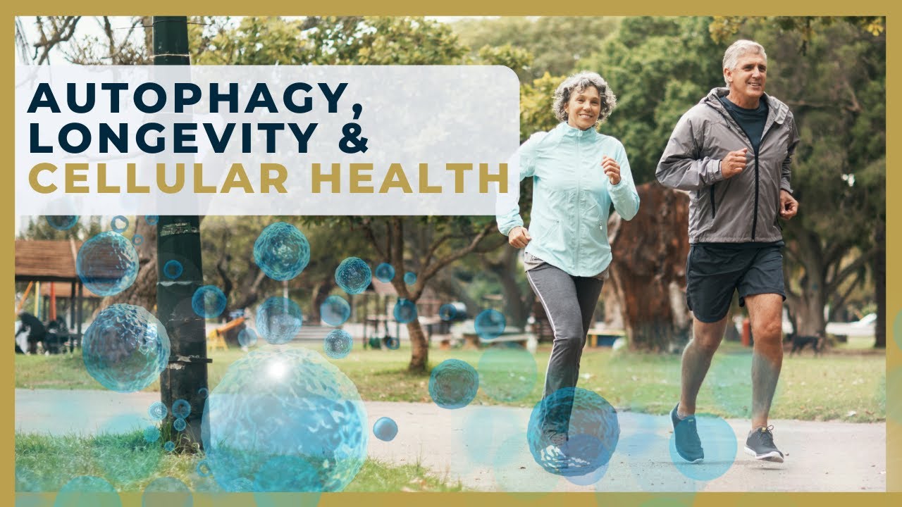 How Autophagy Impacts Longevity and Cellular Renewal | Beyond Sapiens  #longevity #autophagy