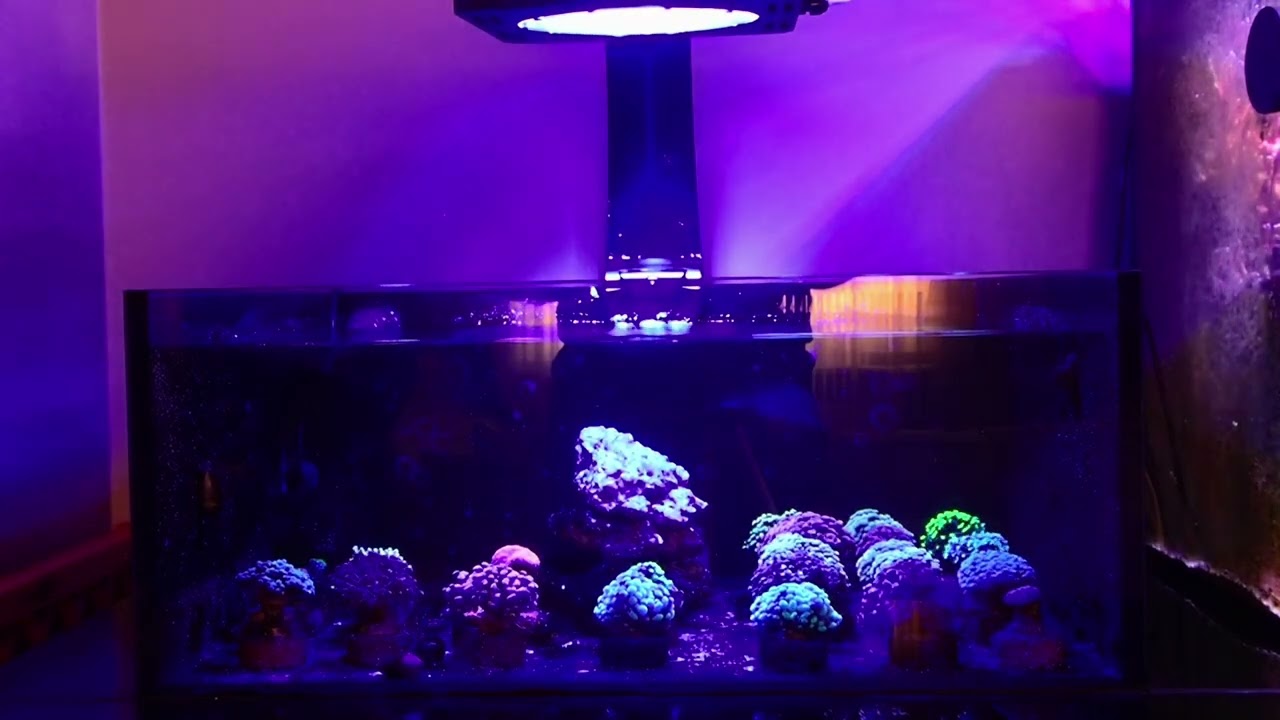MythLights IKIGAI V2 Led Armatür Tanıtımı Part 2