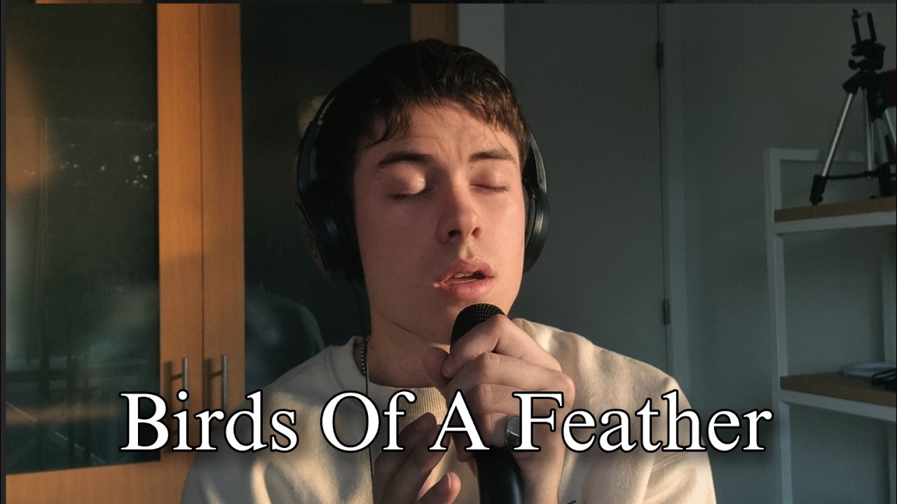 Birds Of A Feather - Billie Eilish (male cover) | ACOUSTIC VERSION | Lucas.