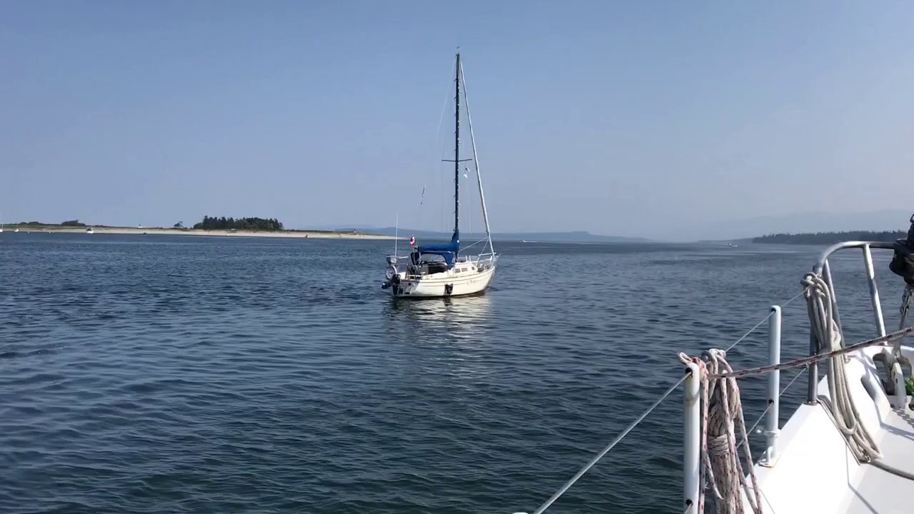 Killer Whale steals Sailboat