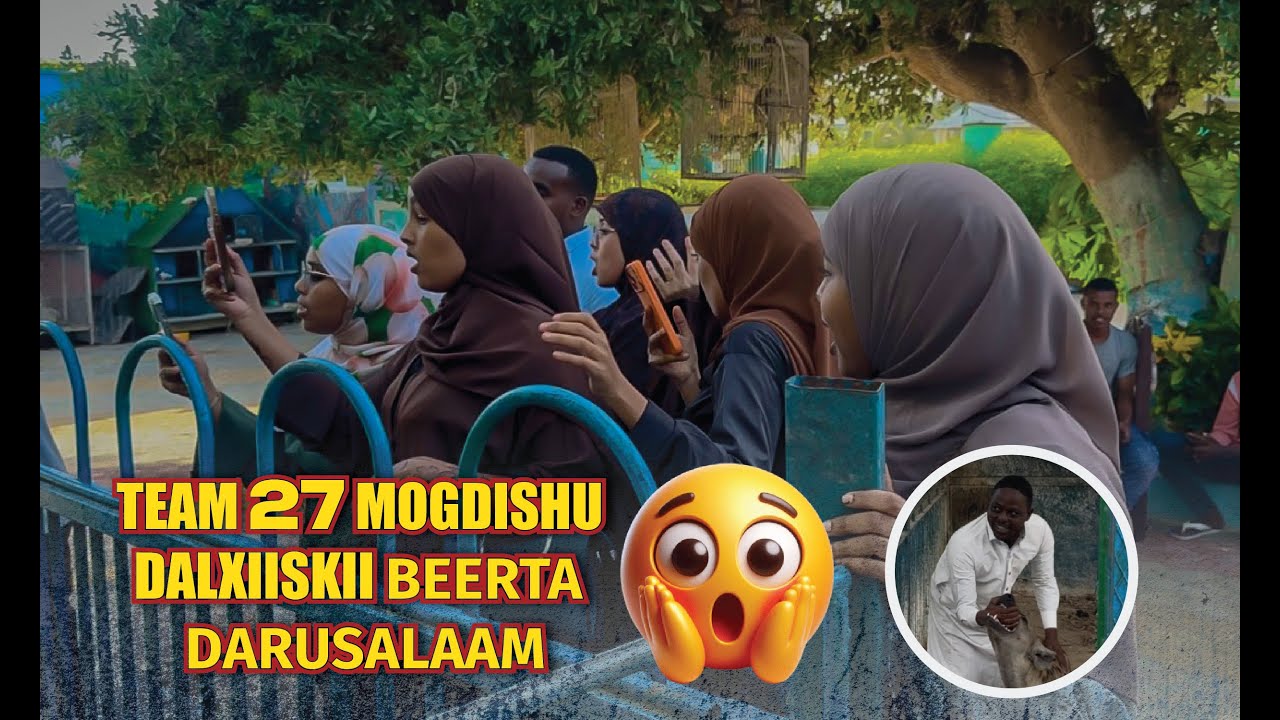 TEAM 27 MOGDISHU DALXIISKII B.DARUSALAAM QEYBTA XAYAWANADKA YUU NOQDAY QOFKA UGU FULAYSAN😱