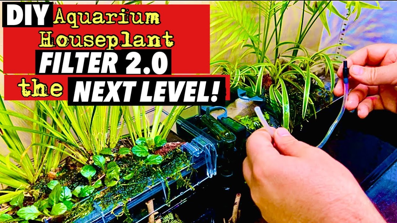 Фильтр для аквариума своими руками HOB HOUSEPLANT 2.0 — новый уровень! Целых 29 г. Фильтрация для...