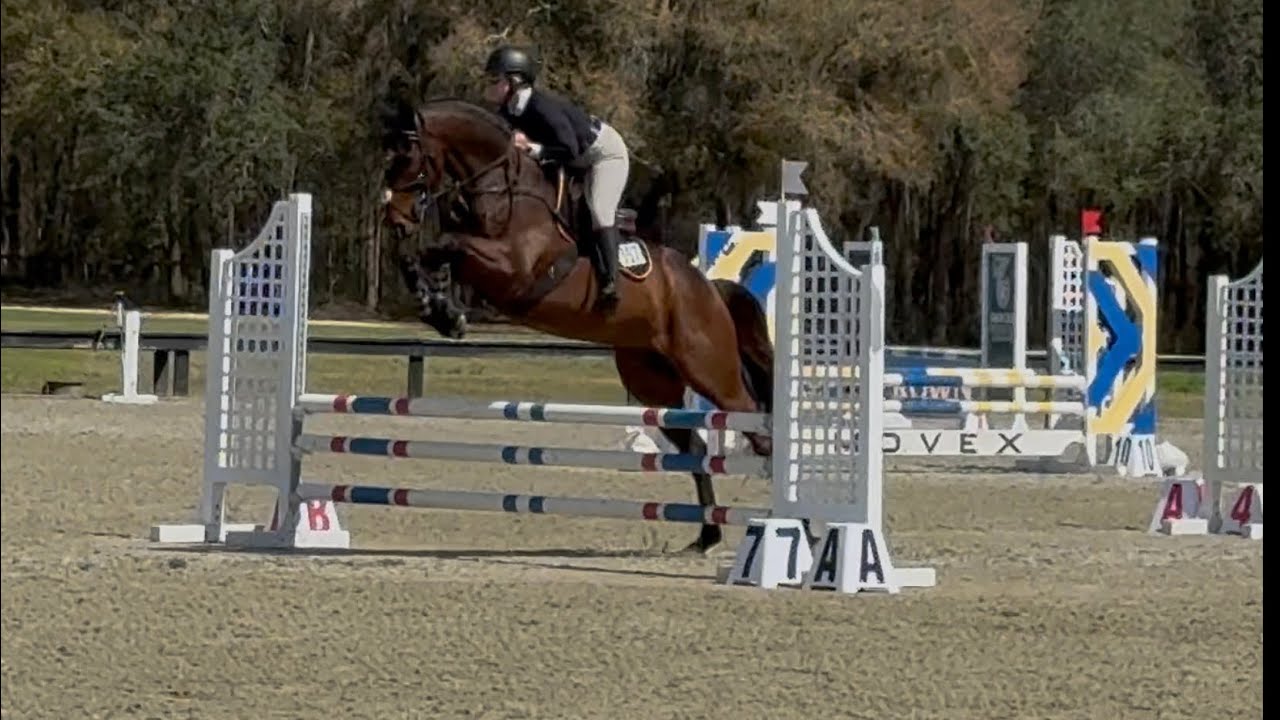 South Bend Hopeful Jumpers round 2