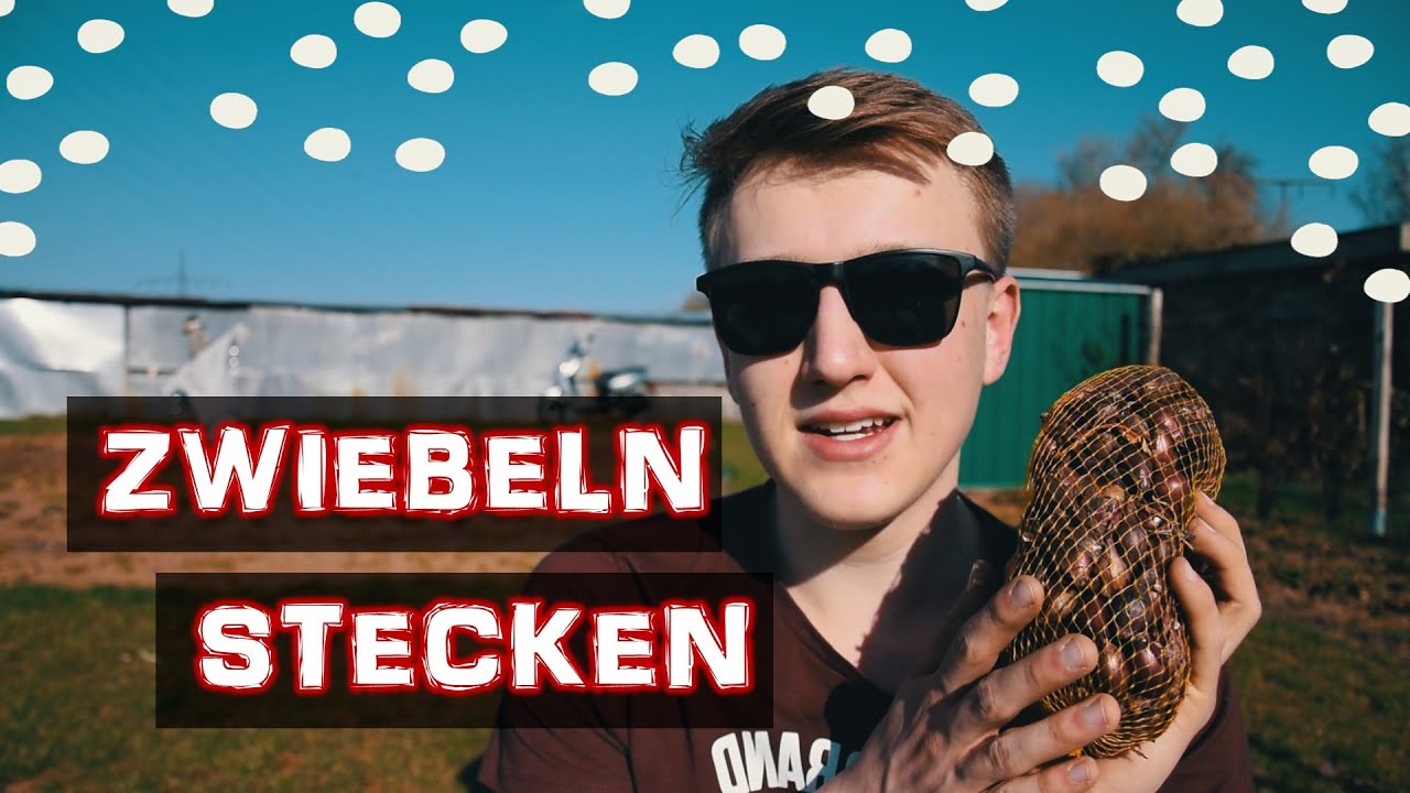Schnee + Zwiebeln stecken = Katastrophe?! | Die Sommersteckzwiebeln kommen in den Boden!