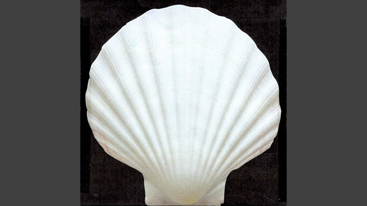 VIII