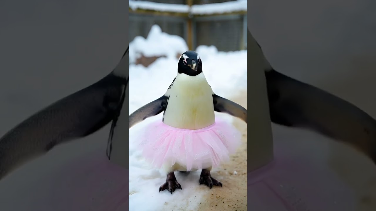 Der fremde Furz