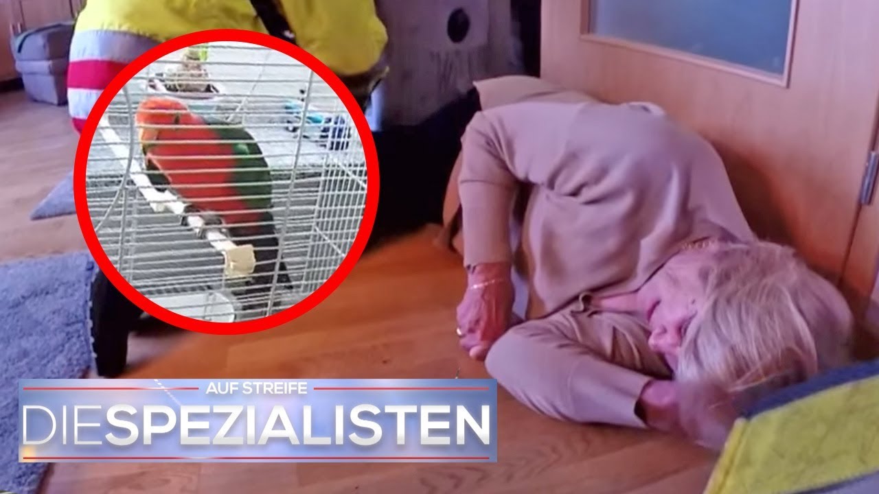 Hilferuf vom Papagei: Frau liegt seit 2 Tagen alleine in der Wohnung | Die Spezialisten | SAT.1 TV
