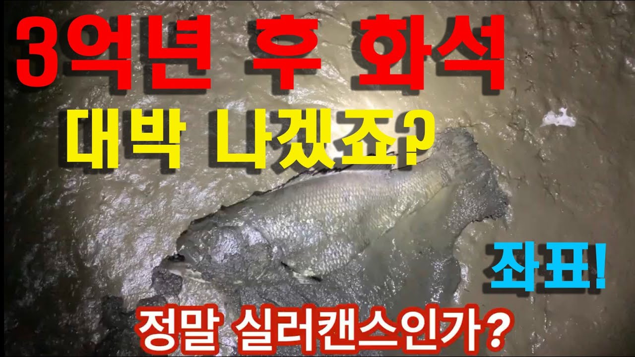 봄배스~오짜배스 화석 메이드