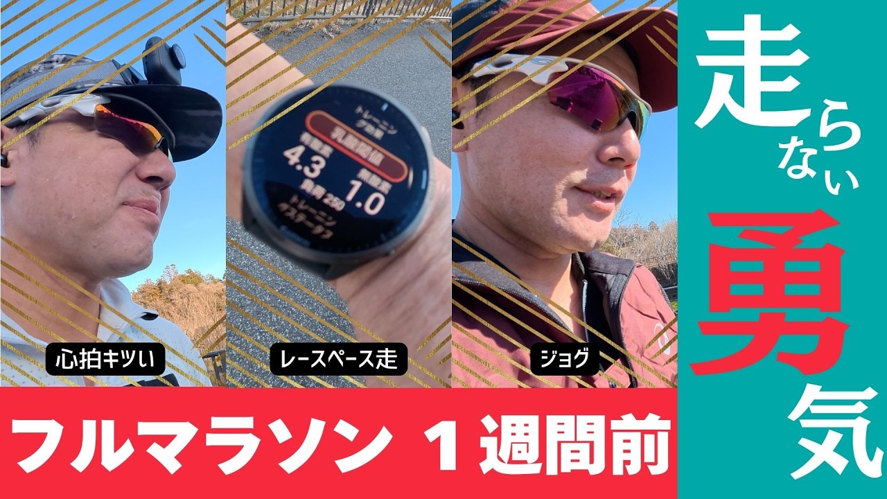 さいたまマラソン 1週間前！ 走らない勇気で最後の調整を！！【Sub3.5チャレンジ#8】
