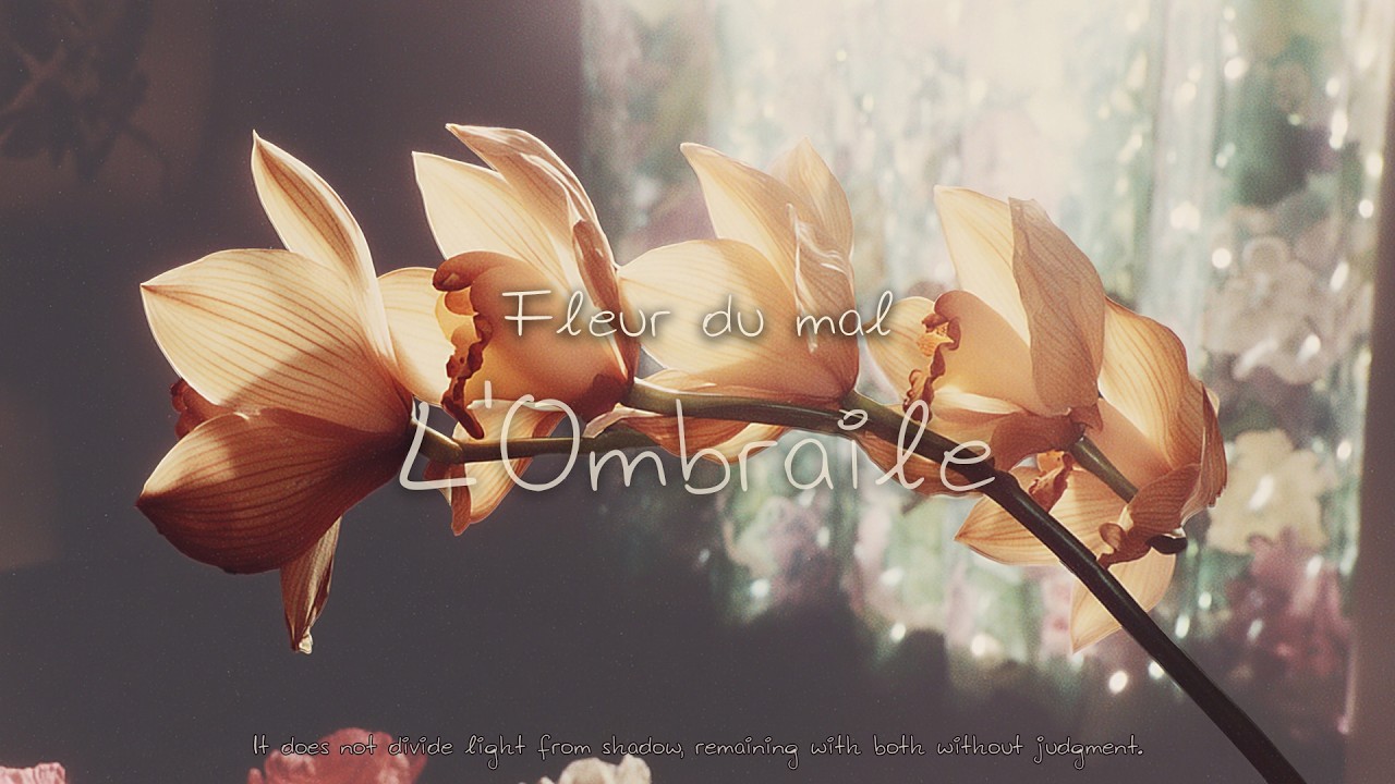 𝓛𝓮𝓼 𝓕𝓵𝓮𝓾𝓻 𝓭𝓾 𝓶𝓪𝓵 11 L'Ombraile