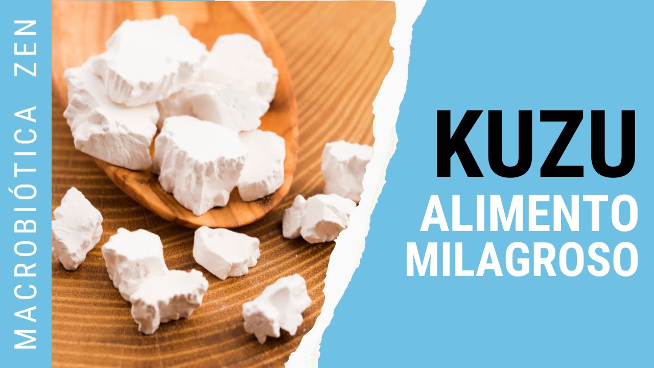 El KUZU y Su Poder CURATIVO 🥣 En Medicina Natural Macrobiótica