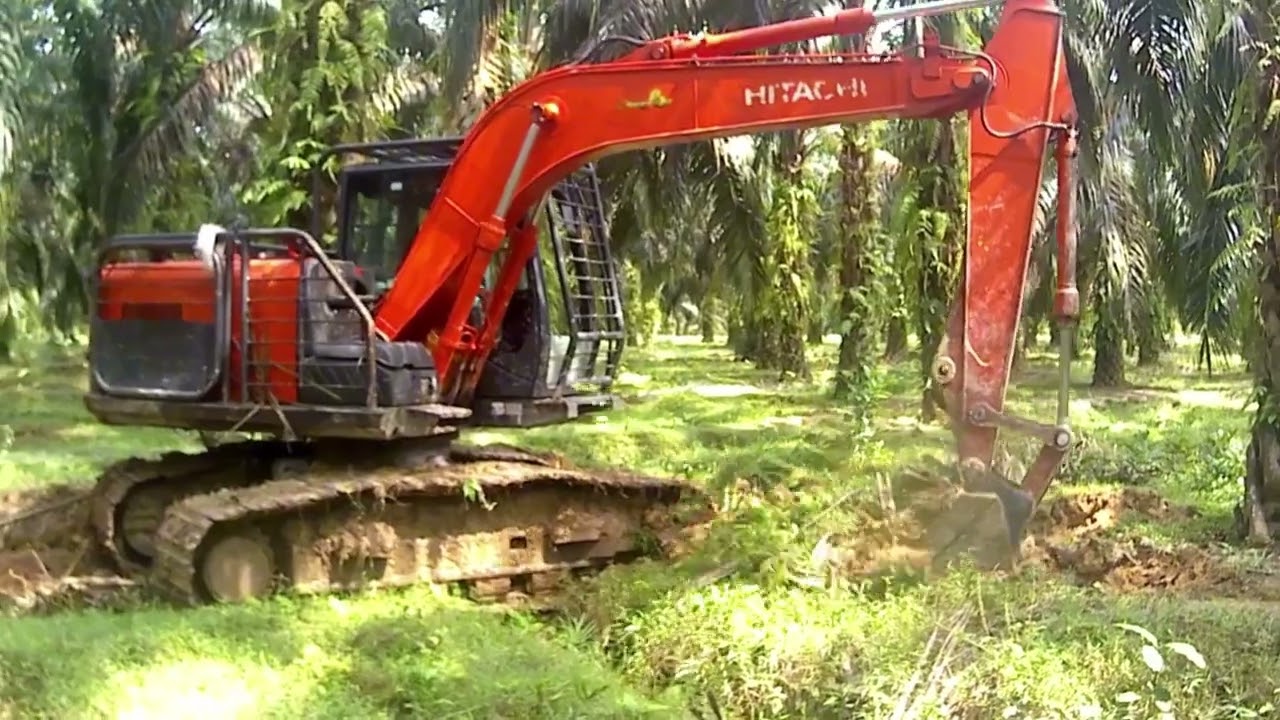 Aktivitas bersihkan gawangan sawit dan gali parit 
