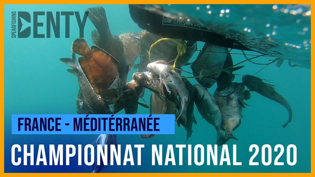 Championnat National par équipe de Chasse sous-marine 2020 FNPSA