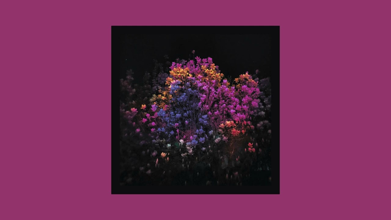 Will Van Horn - San Luis Pass (Full Album)