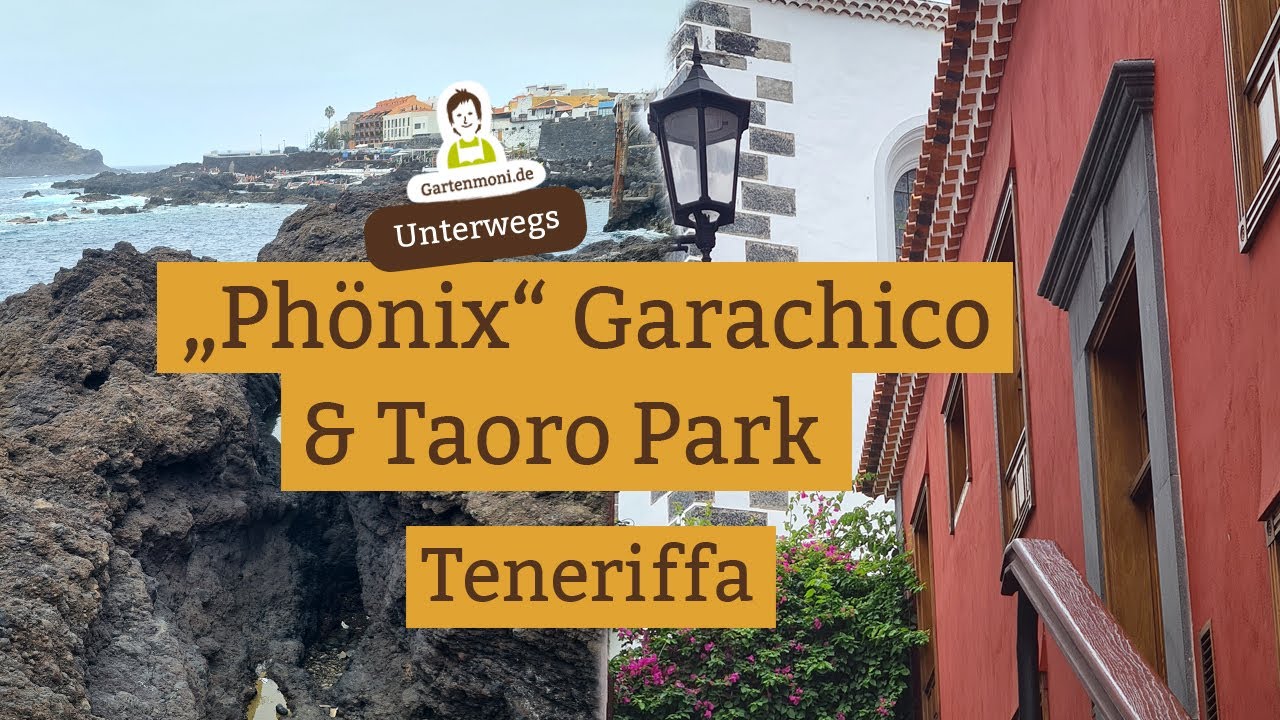 Garachico und der Taoro Park in Puerto de la Cruz auf Teneriffa - Was ist hier passiert?!