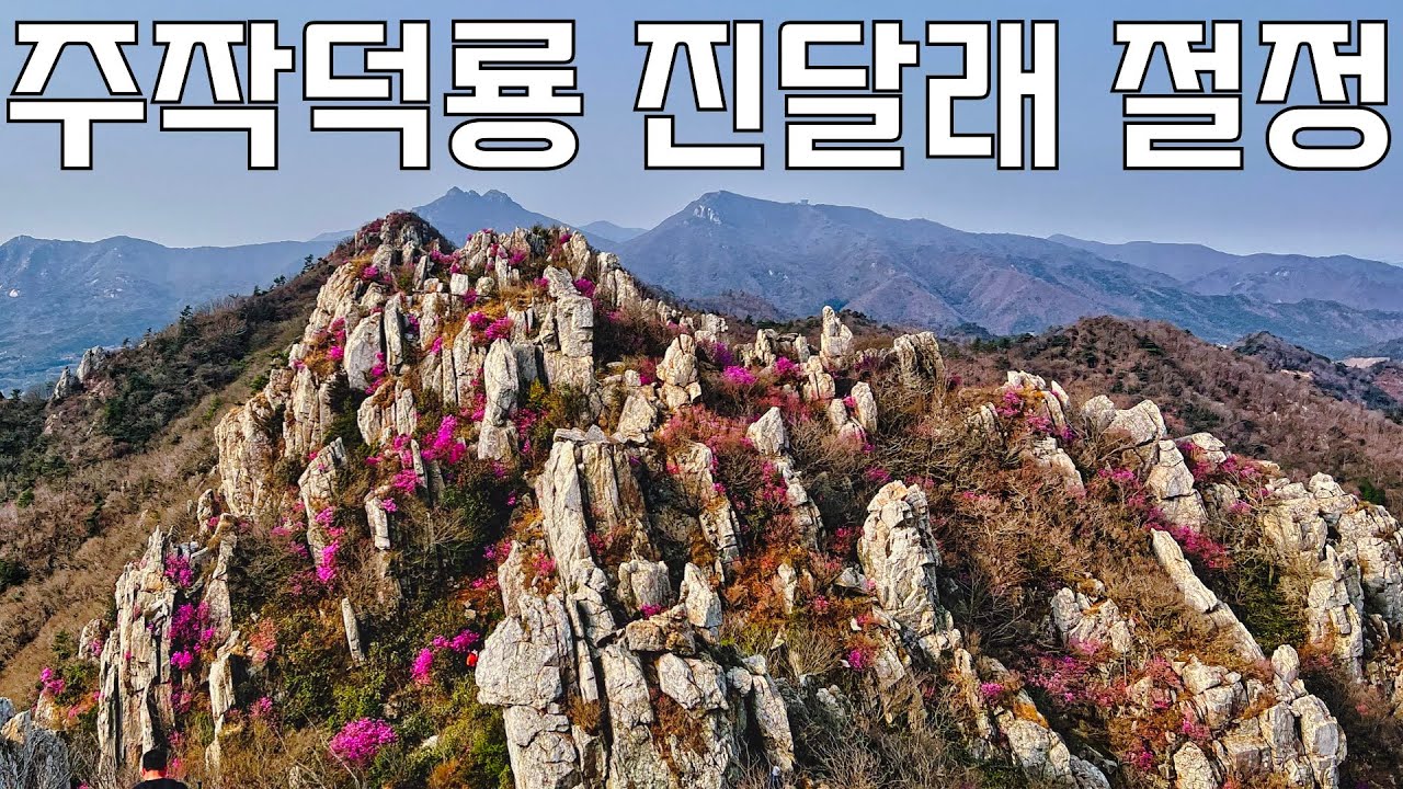 진달래 보러 갔다가 탈탈 털린 이유는? 매운맛 남도의 공룡능선 주작덕룡