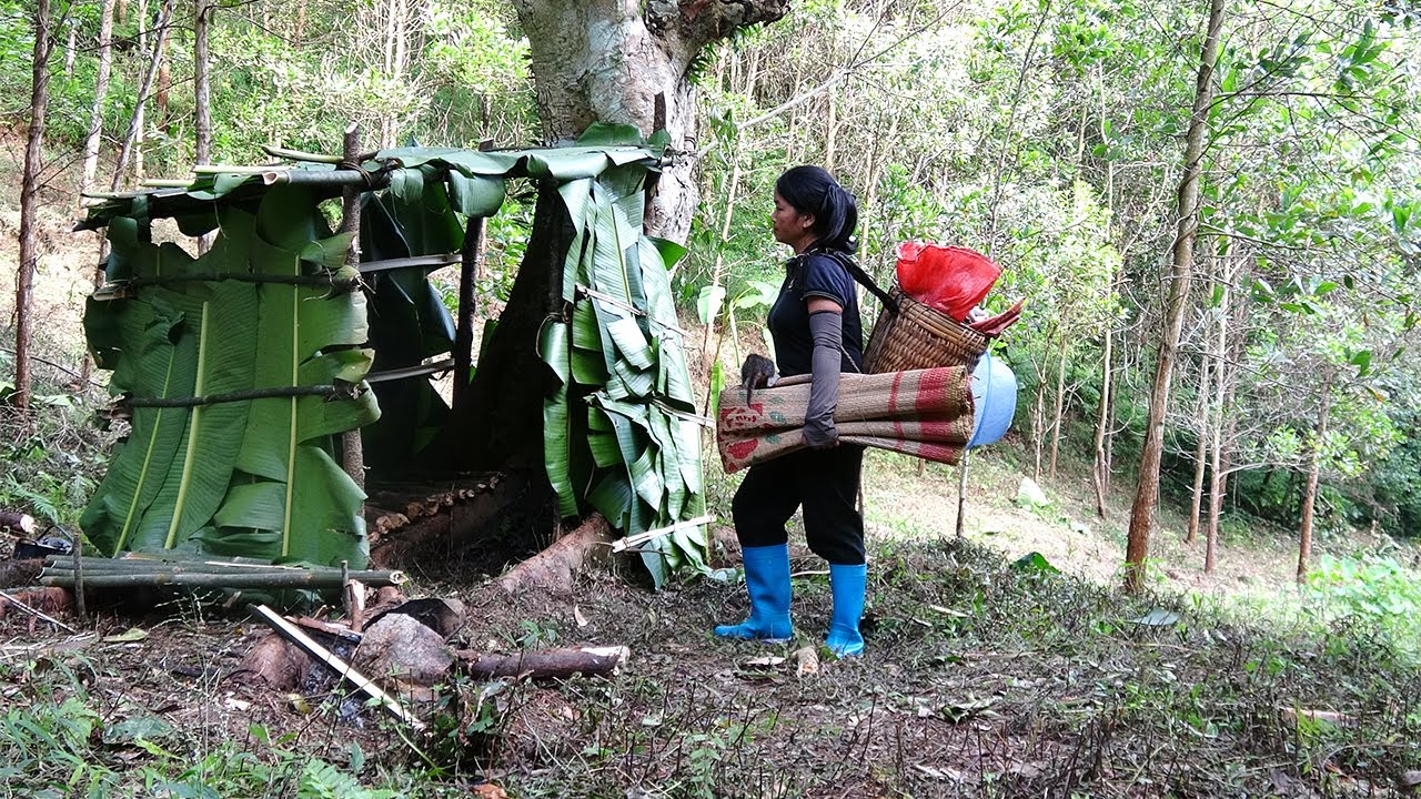Homeless girl build shelter to survive in rainforest looking for safe place