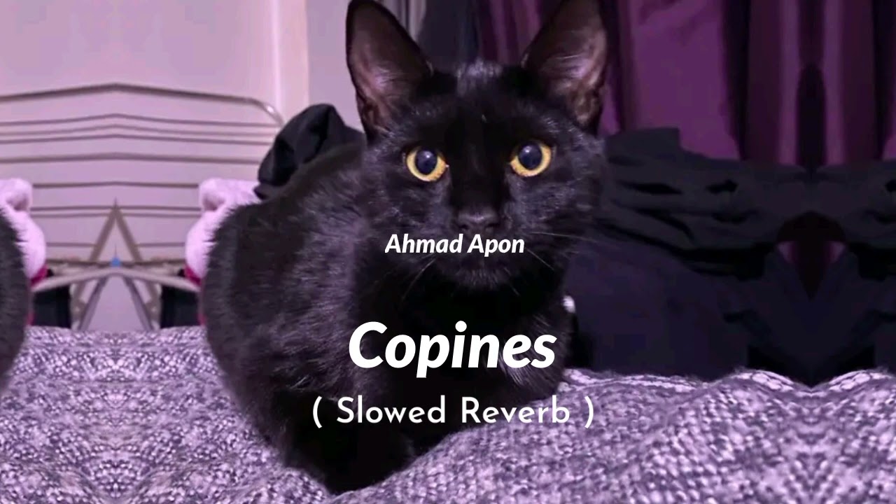 Copines Song (Slowed Reverb) |