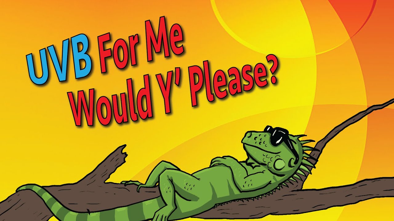 Reptile Side Chat | Iguanas and The Light Bulbs They Need