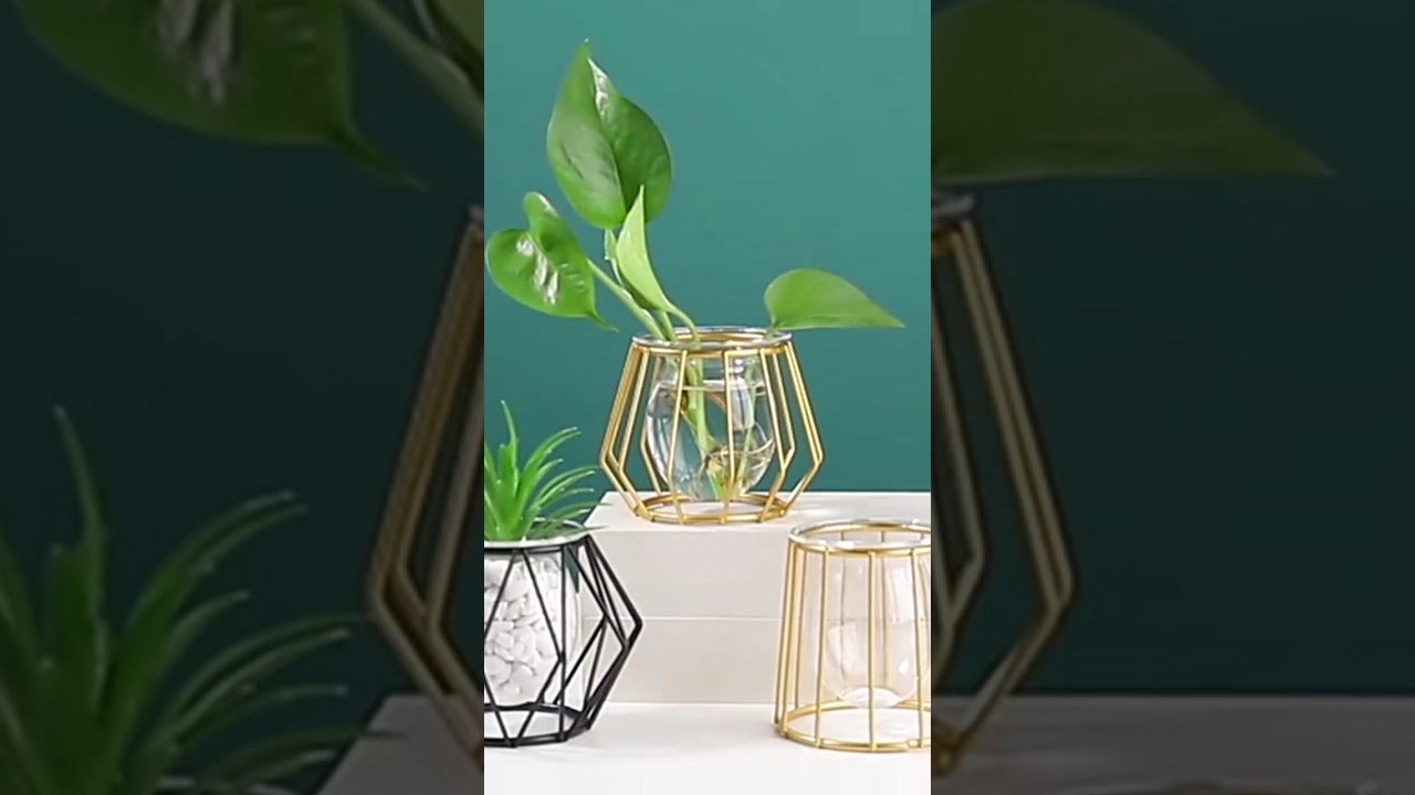 Luxurious Flower Vases 💫 #decor #decoration #flowers #vases #vase #homedecor #table #usa