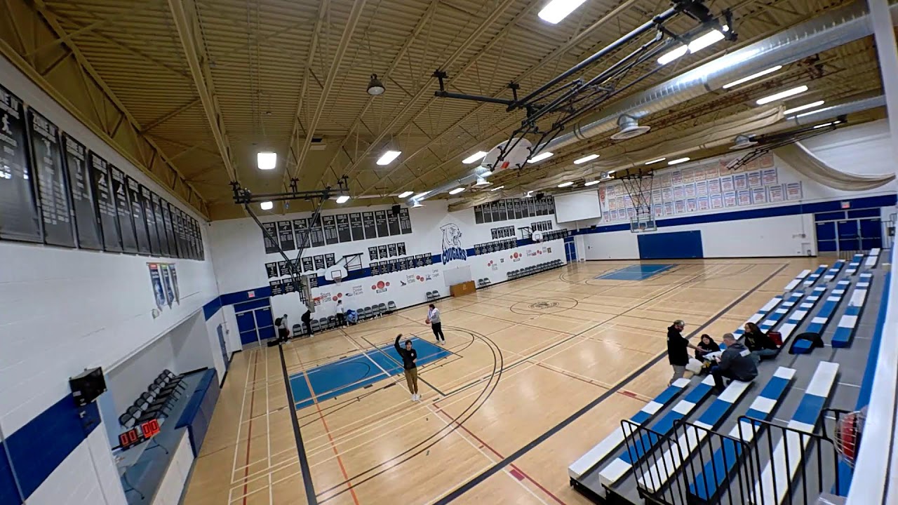 Carman vs Souris