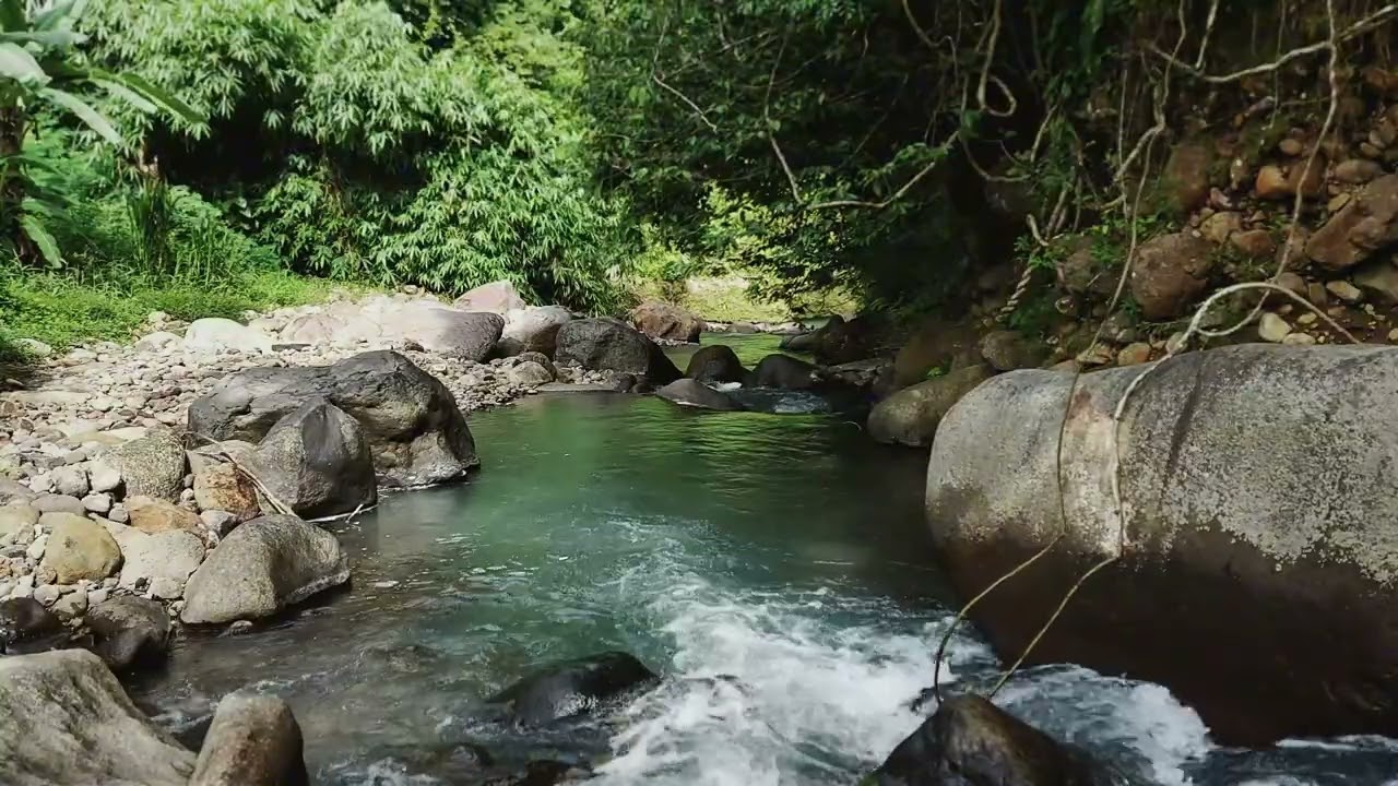 Escape Into A Serene Riverside Scene With Continuous Water Flow For Stress Relief