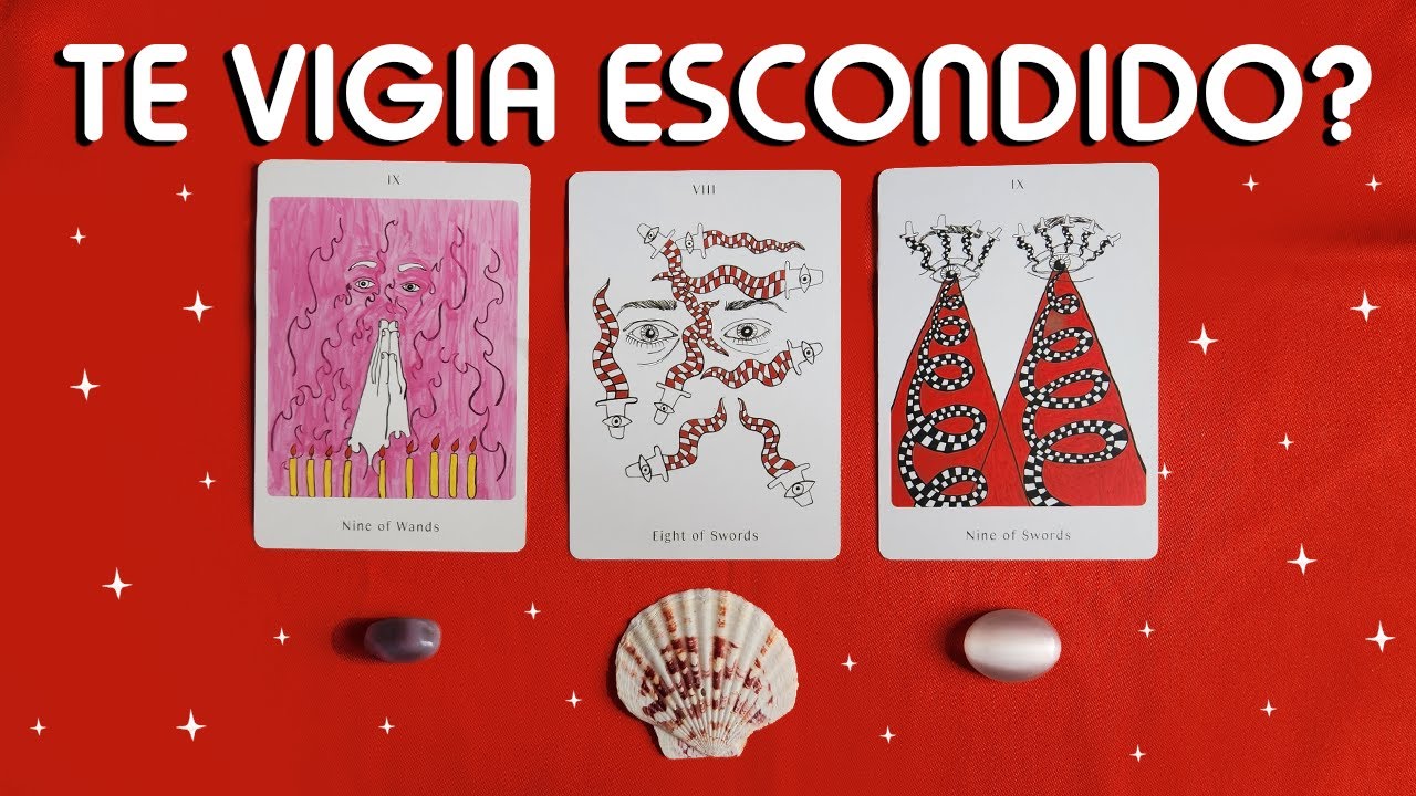 👀 TE VIGIA ESCONDIDO? 👀