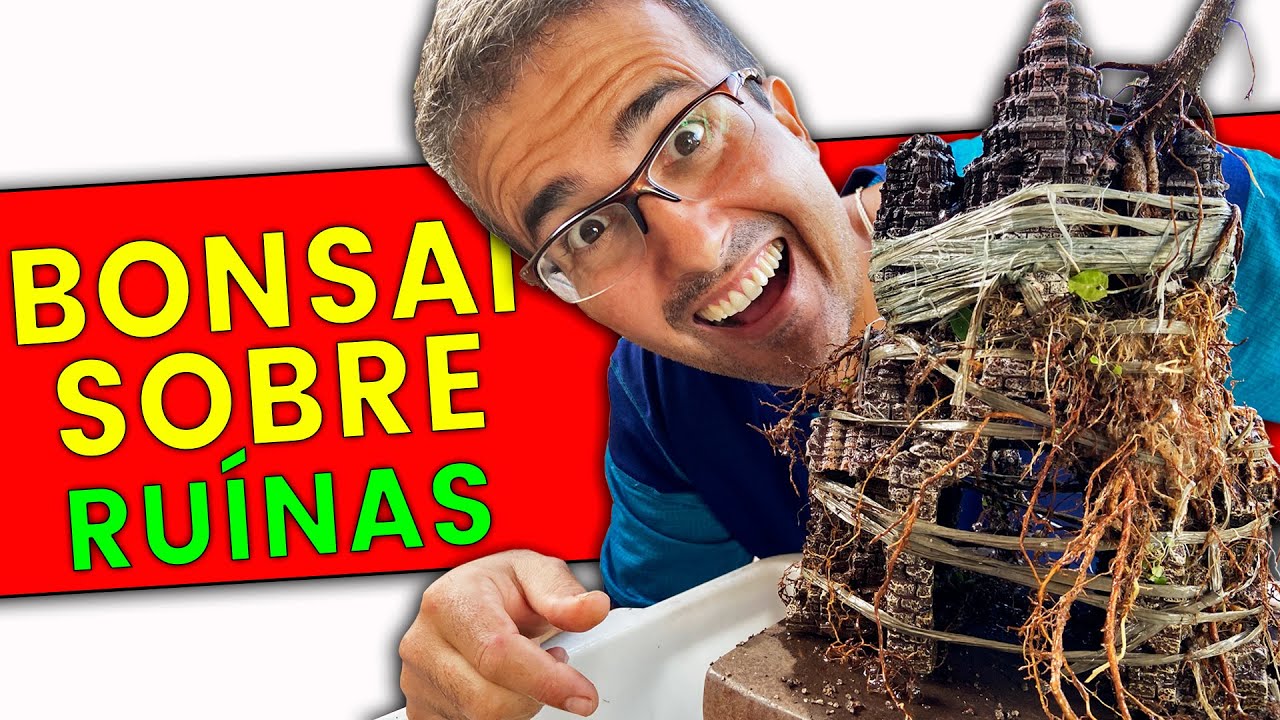 BONSAI SOBRE RUÍNA - COMO FAZER?!?