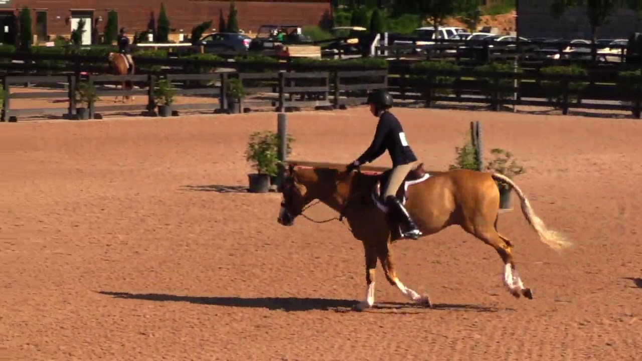 Pony Hunter Classic round at Tryon International Equestrian Center