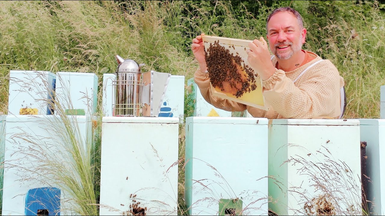 Création d'essaims artificiels : une méthode efficace, secrets d'agrandissement - Apiculture S03E09