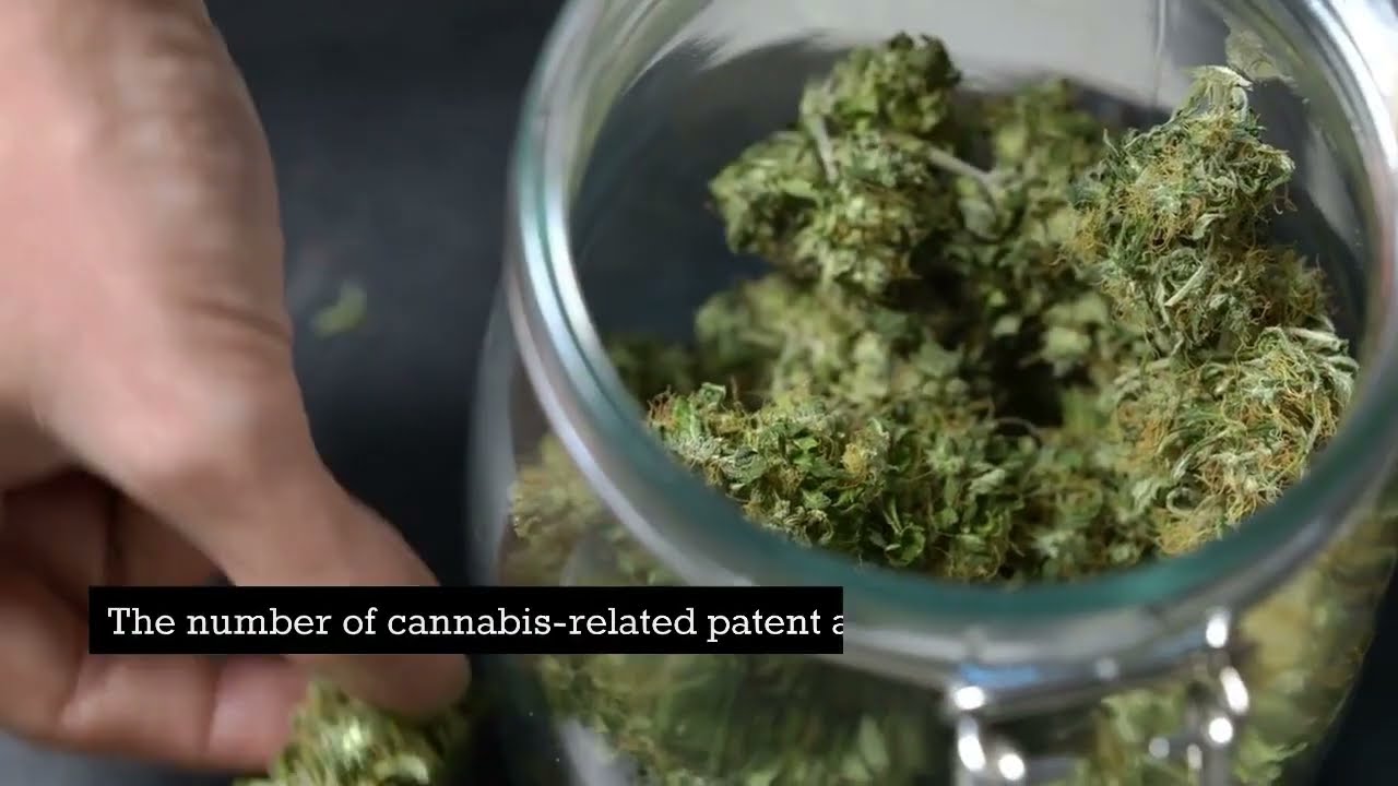 Can cannabis patents be enforced?