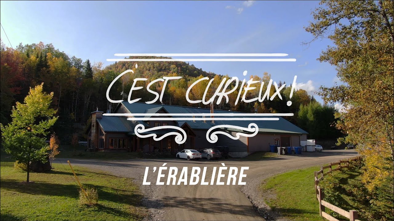 C'est curieux!: Érablières