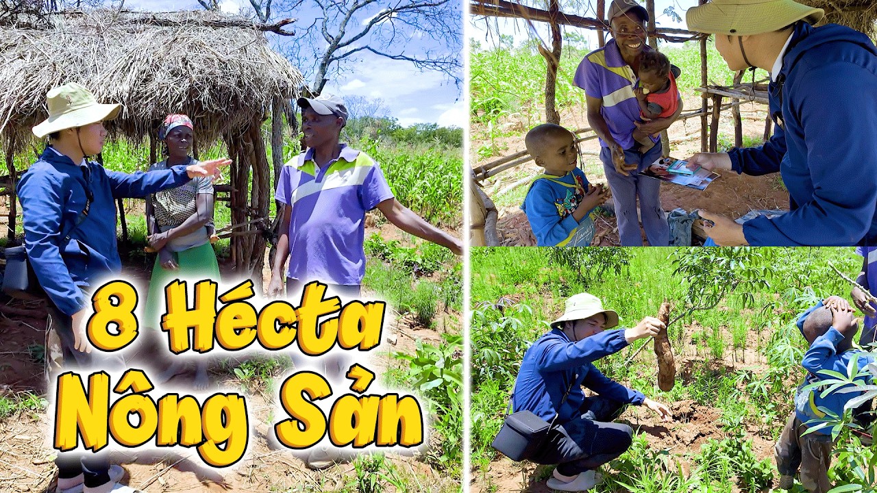 Cả Quả Đồi 8 Hécta Nông Sản, Mạnh Thường Quân Giúp Một Lần Và Cái Kết Vượt Mong Đợi