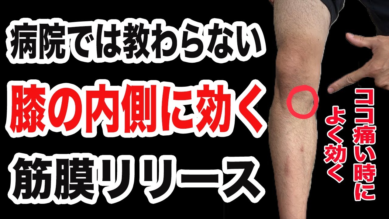 【誰でも簡単】膝内側の痛みに効く筋膜リリースマッサージのやり方を大公開【変形性膝関節症にも効果的】